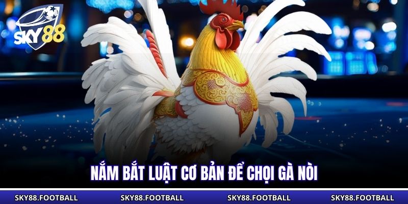 Nắm bắt luật cơ bản để chọi gà nòi
