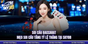 Soi Cầu Baccarat